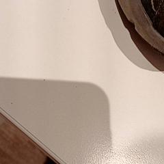 Table & Shoes, as reported by De Efteling using iLost