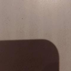 Schlüsselanhänger, gemeldet von De Efteling über iLost