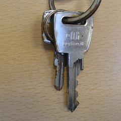 Schlüsselanhänger, gemeldet von Walibi Holland über iLost