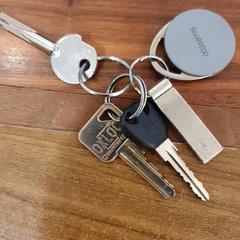 Sleutelbos, segundo informou Gemeente Heemstede usando iLost