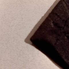 كنزة صوفية، كما تم الإبلاغ عنه بواسطة De Efteling عبر iLost