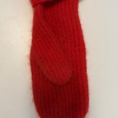 Eskularrua, gisa salatu by Fenix iLost erabiliz