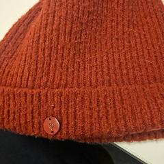 قبعة صغيرة Rood، كما تم الإبلاغ عنه بواسطة Vrije Universiteit Amsterdam عبر iLost