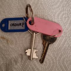 Sleutels, ako bolo nahlásené iLost