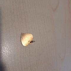 Ciondolo goud, come riportato da Alrijne Leiderdorp utilizzando iLost