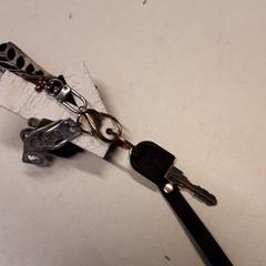 Key, as reported by Qbuzz ZHN using iLost