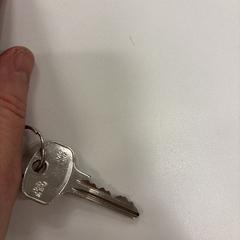 Sleutel, som rapporterats till iLost