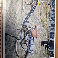 Női kerékpár, amint azt Gemeente Roermond az iLost segítségével jelentette.