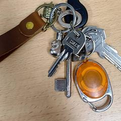 سلسلة المفاتيح، كما تم الإبلاغ عنه بواسطة Qbuzz GD Groningen HS عبر iLost