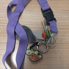 Sleutelbos  met paars koord, como reportado por Connexxion Noord Holland Noord Alkmaar utilizando o iLost