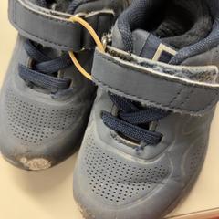 Shoes, as reported by Burgers' Zoo using iLost