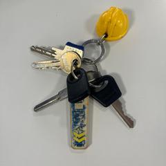 Brelok do kluczy, zgłoszono przez Gemeente Ede przy użyciu iLost