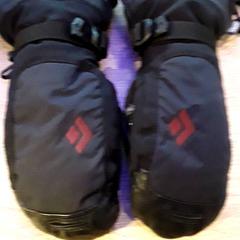 Rukavice, jak nahlášeno EBS Tramplein pomocí iLost