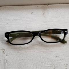 Lunettes de lecture montuur groen, buitenkant groen, a été signalé par DierenPark Amersfoort utilisant iLost