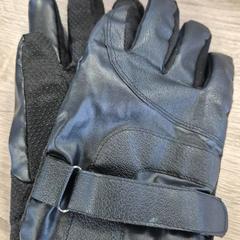 Rukavice, jak nahlášeno EBS OV Poeldijk pomocí iLost