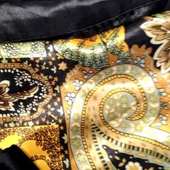 Shawl Goud kleurig, as reported by Arriva Friesland / Groningen using iLost