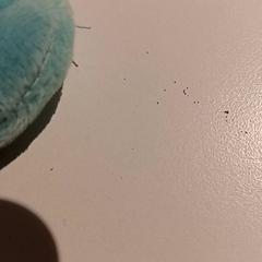 Knuffel, gemeldet von De Efteling über iLost