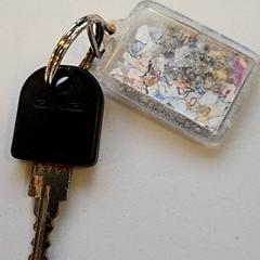 自転車の鍵 がiLostで Vrije Universiteit Amsterdam によって報告されました