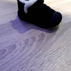 Topánka, ako bolo nahlásené EBS Tramplein pomocou iLost