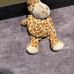 Peluix Giraffe, segons ha informat Van der Valk Hotel Haarlem mitjançant iLost