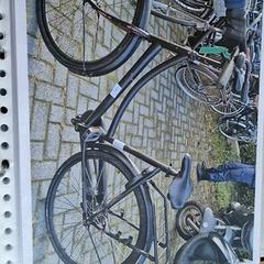 Damenrad, gemeldet von Gemeente Roermond über iLost