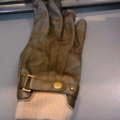 Rękawica, zgłoszono przez SnowWorld Landgraaf przy użyciu iLost