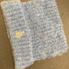 Casquette Blau, a été signalé par Schönbrunn "Group Center" utilisant iLost