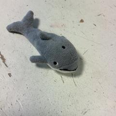 Jostailua Walvisje, gisa salatu by Artis iLost erabiliz