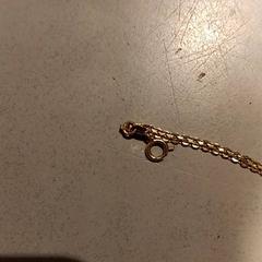 Náramek, jak nahlášeno De Efteling pomocí iLost