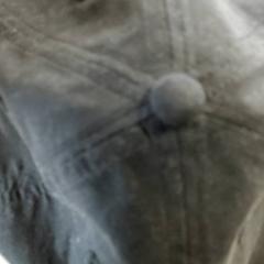 Klær Pet, som rapportert av Regio Antwerpen - Brussel ved bruk av iLost