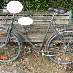 Bicykel donkergroene mannenfiets, ako bolo nahlásené Festivals Werchter pomocou iLost