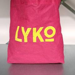 Bärkasse, zoals gemeld door Keolis Lund met iLost