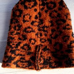 Cap Bruin, come riportato da DierenPark Amersfoort utilizzando iLost