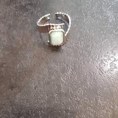 Ring, as reported by Rotterdam The Hague Airport using iLost