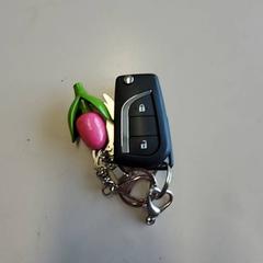Clau del cotxe & Telèfon mòbil, segons ha informat Connexxion Haarlem IJmond mitjançant iLost