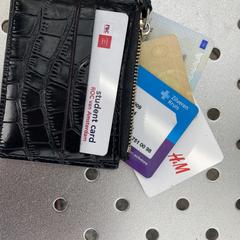 Studentenkaart, andere kaarten in zwart mapje, ha sido reportado a iLost