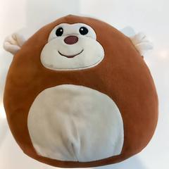 Mazlící hračka, jak nahlášeno Arriva Limburg Zuid pomocí iLost