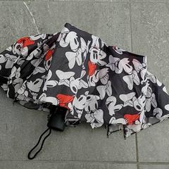 İLost kullanarak Centraal magazijn tarafından bildirildiği gibi Şemsiye