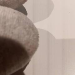 Peluche, a été signalé par De Efteling utilisant iLost