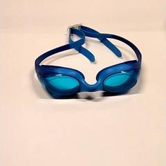 Duikbril, a été signalé par Gemeente Puurs-Sint-Amands utilisant iLost