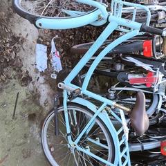 Dětské kolo Volare, jak nahlášeno Stadswerk072 pomocí iLost