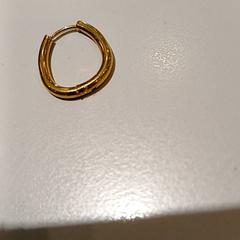 Earring, as reported by Padualaan 97 using iLost