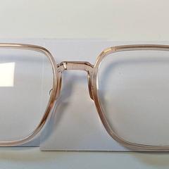 안경 - Zalmroze, iLost를 사용하여 Centraal magazijn에 보고됨