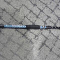 Bâton de marche, a été signalé par Relais Azalys utilisant iLost