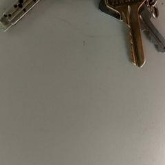 İLost kullanarak Regio Antwerpen - Brussel tarafından bildirildiği gibi Anahtarlar