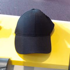 Pet, come riportato da Pathé Nijmegen utilizzando iLost