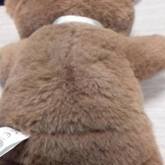 Mysig leksak Bruin, rapporterat av Qbuzz Fryslân med iLost