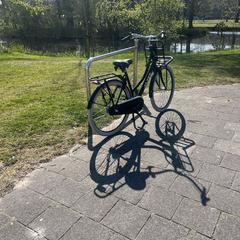 Damesfiets, gerapporteerd met iLost