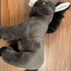 Knuffel, ako bolo nahlásené Pathé Zaandam pomocou iLost