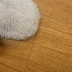 Hansker, som rapportert av GVB ved bruk av iLost